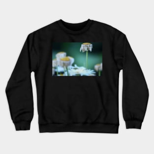 Finite Flower Crewneck Sweatshirt